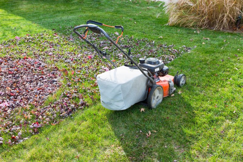 Yard Cleanup Equipment