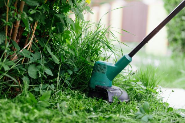 Weed Whacking in Gainesville