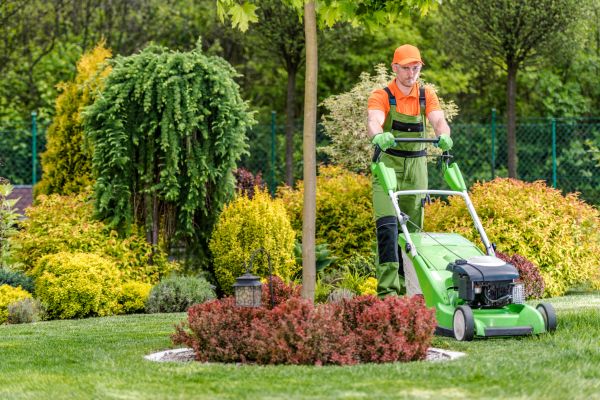 Yard Service in Gainesville