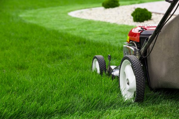 Lawn Service in Gainesville