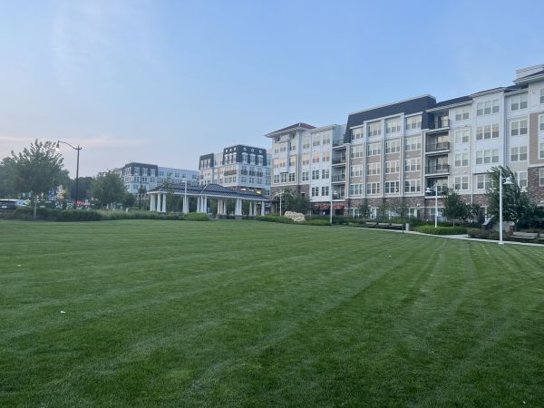 Cost of Urban Lawn Care in Gainesville