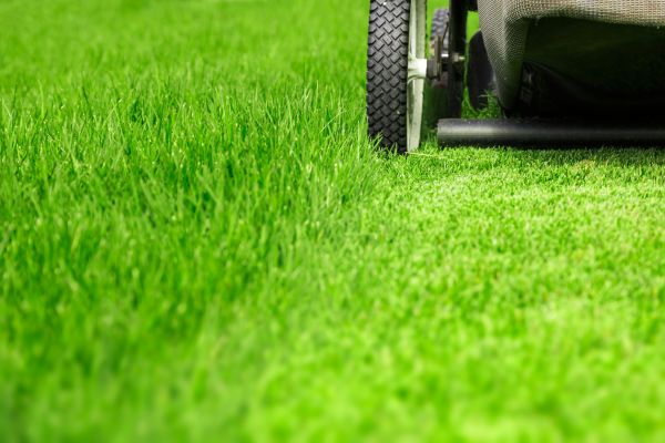 Weekly Lawn Care in Gainesville