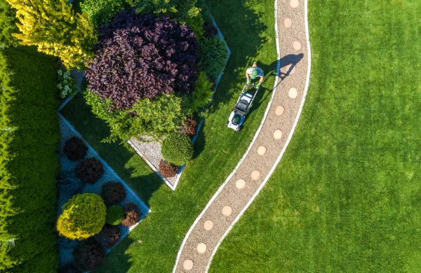 Cost of Mowing And Landscaping in Gainesville
