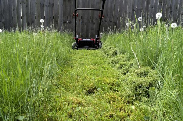 High Grass Mowing in Gainesville
