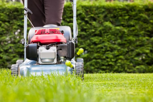 Grass Trimming Service in Gainesville