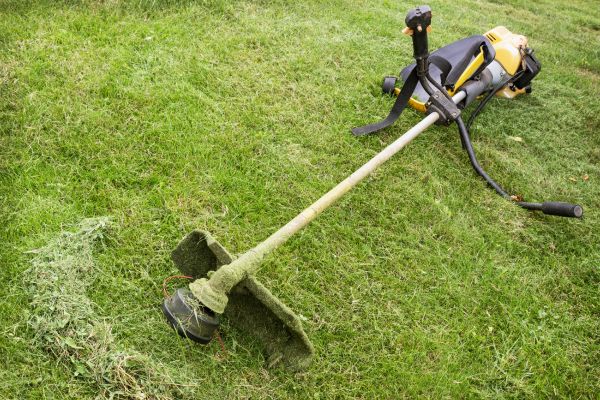 Hillside Weed Whacking in Gainesville