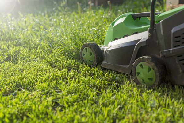 Cost of Lot Mowing in Gainesville