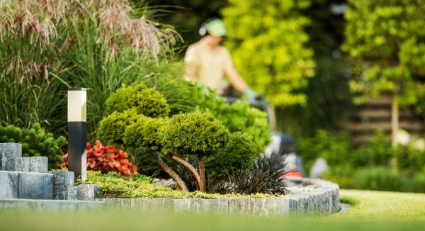Residential Yard Maintenance in Gainesville
