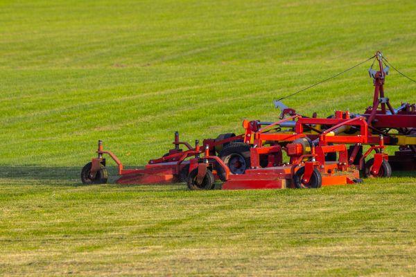 Industrial Lawn Service in Gainesville