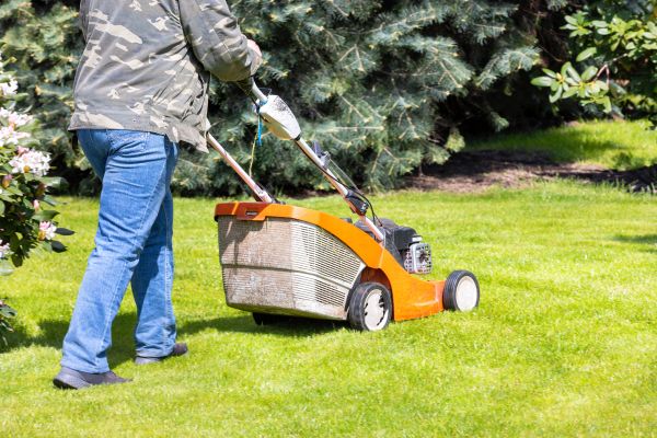 Springtime Lawn Care in Gainesville