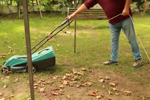 Leaves Mowing in Gainesville