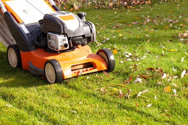 Cost of Fall Mowing in Gainesville