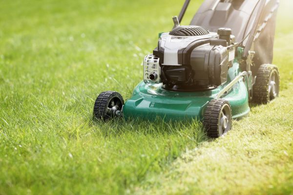 Spring Grass Trimming in Gainesville