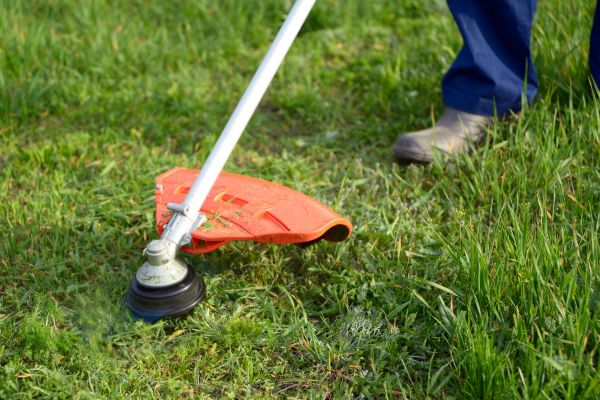 Lawn Weed Whacking in Gainesville