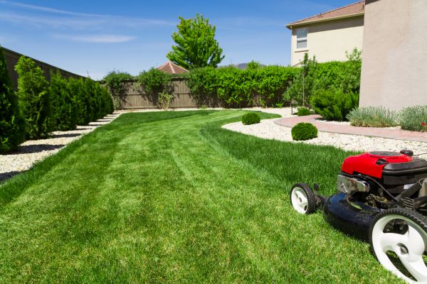 Residential Lawn Mowing in Gainesville